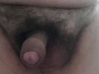 Il mio culo