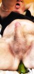 Tolenerox Shameless horny and anal selfies