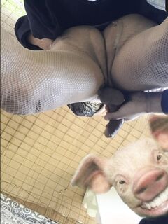 Succhio il cazzone del travone